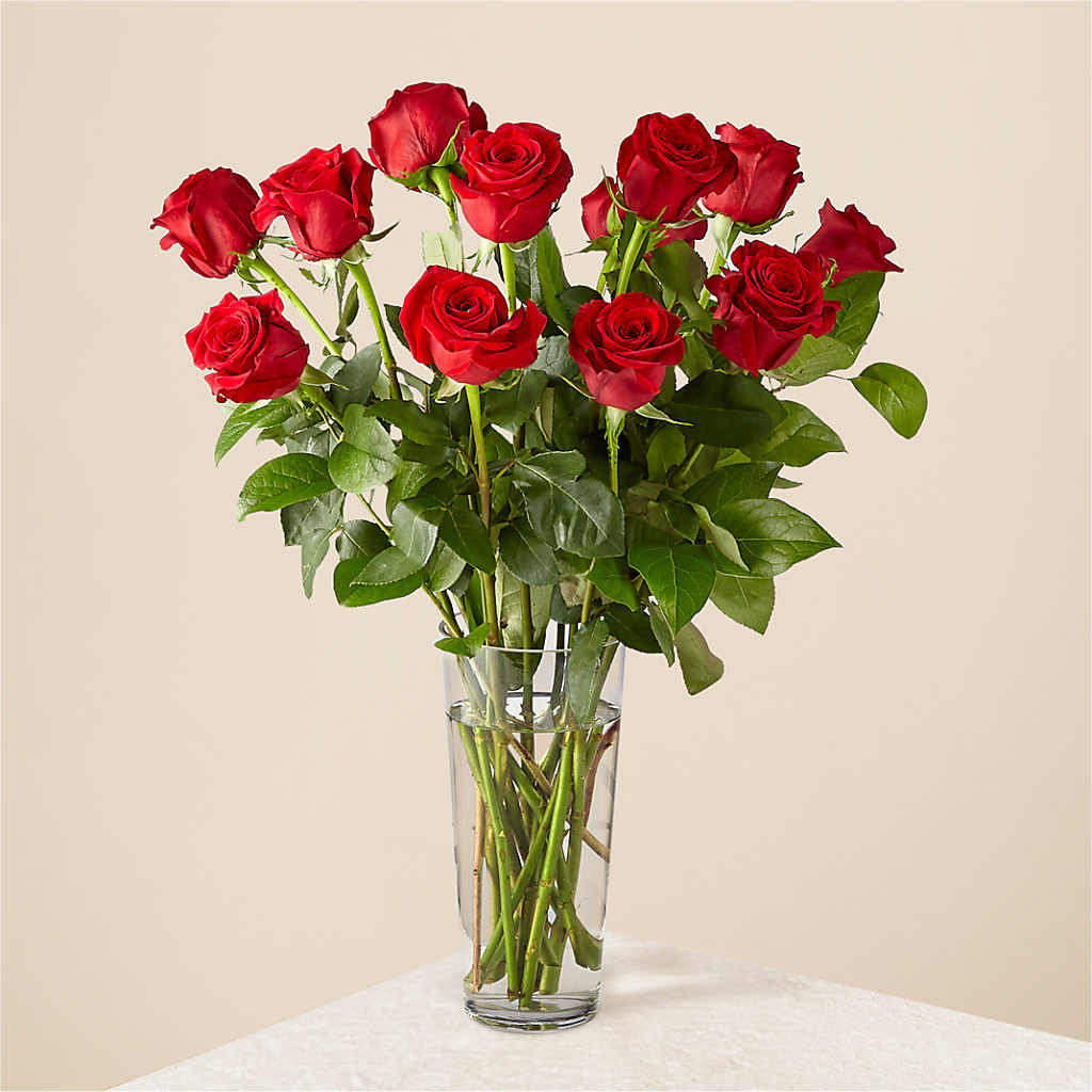 Long Stem Red Rose Bouquet – Discountflowershop.com, Tontitown AR