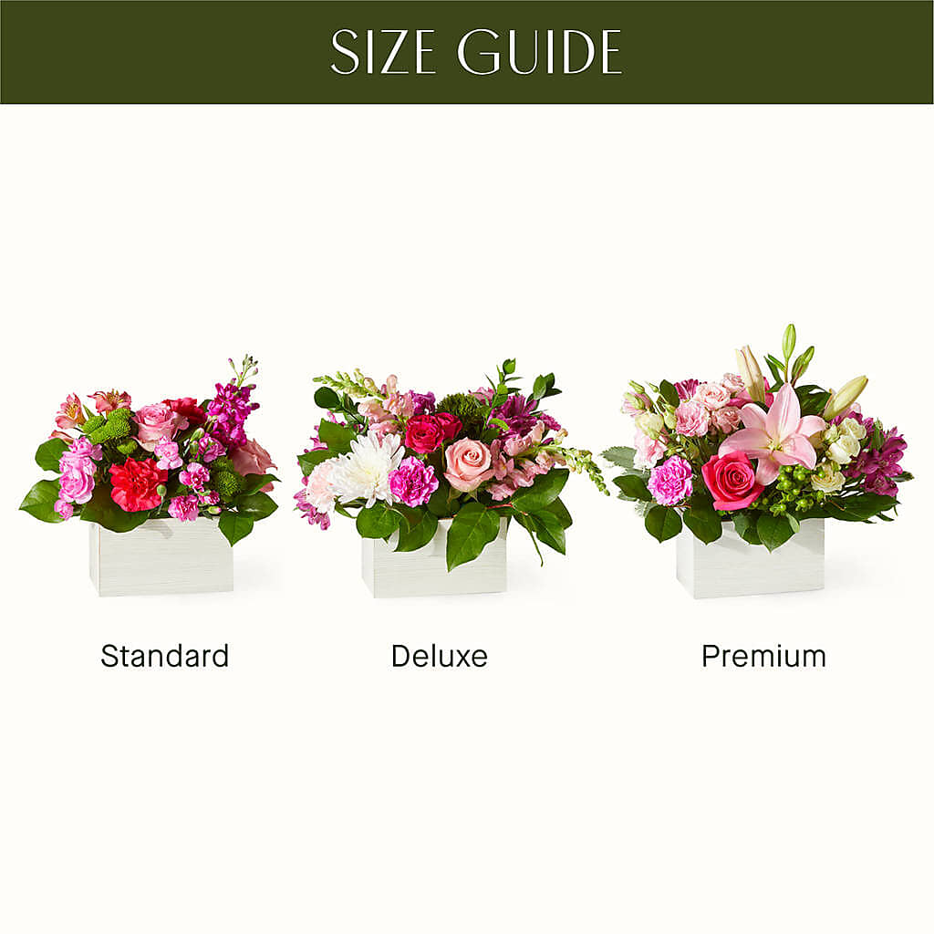 Sweetberry Box – A Florist Original – Discountflowershop.com, Tontitown AR