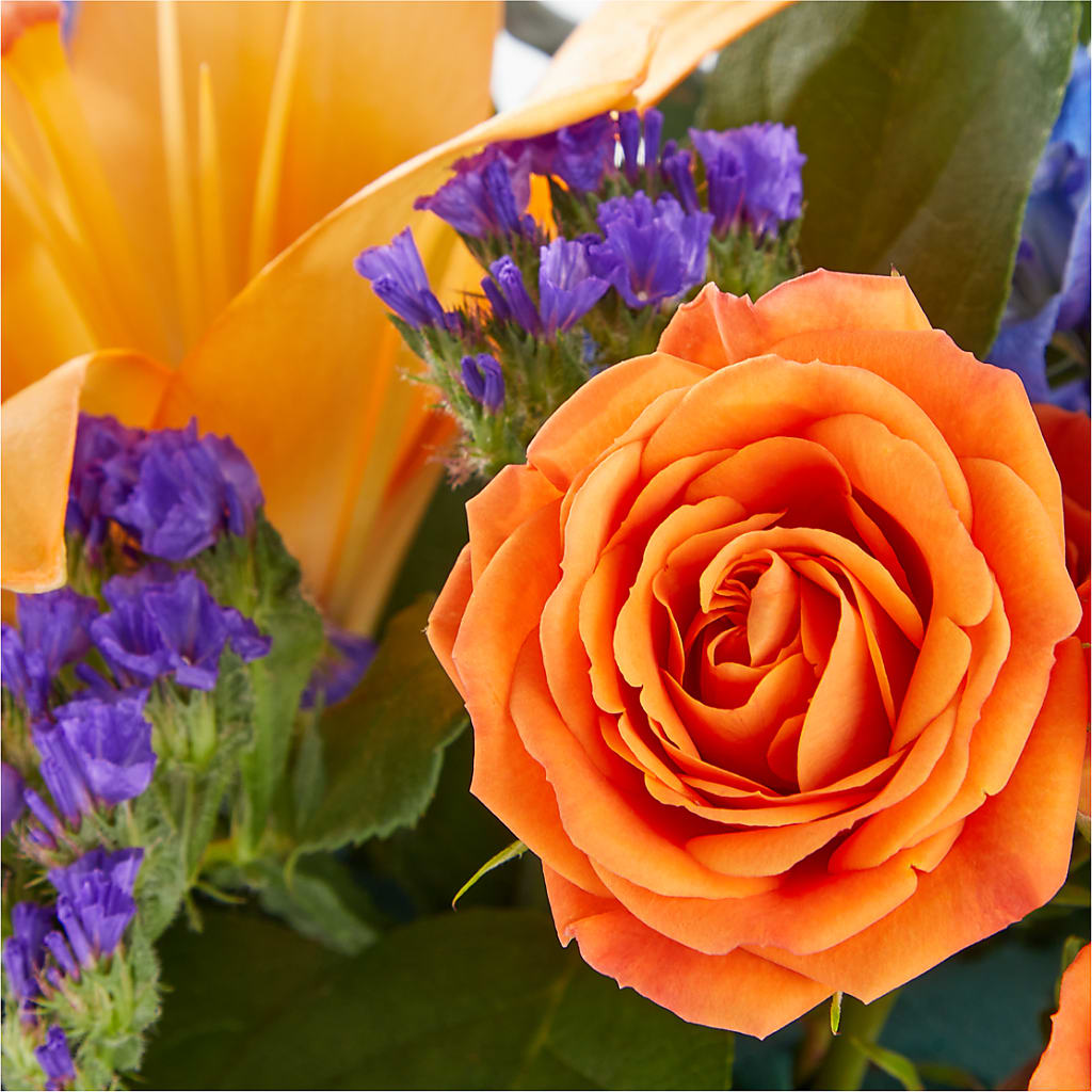 Radiant Citrus Box Bouquet – Discountflowershop.com, Tontitown AR
