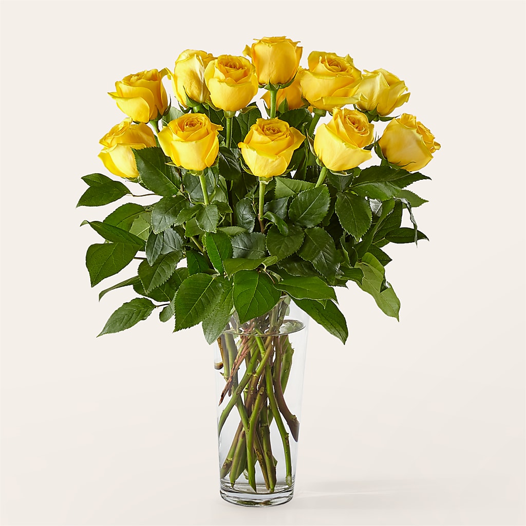 Long Stem Yellow Rose Bouquet – Discountflowershop.com, Tontitown AR