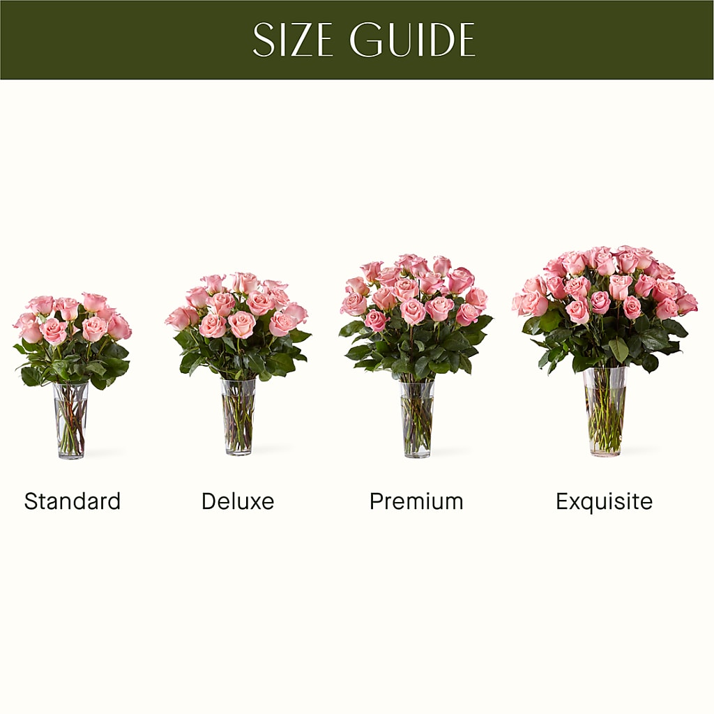 Long Stem Pink Rose Bouquet – Discountflowershop.com, Tontitown AR