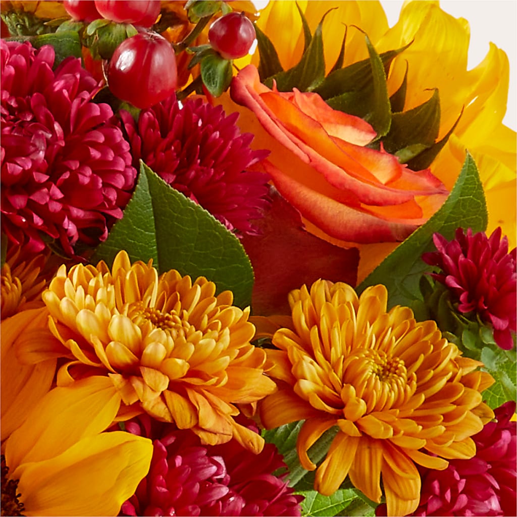 Sweater Season - A Florist Original – Discountflowershop.com, Tontitown AR