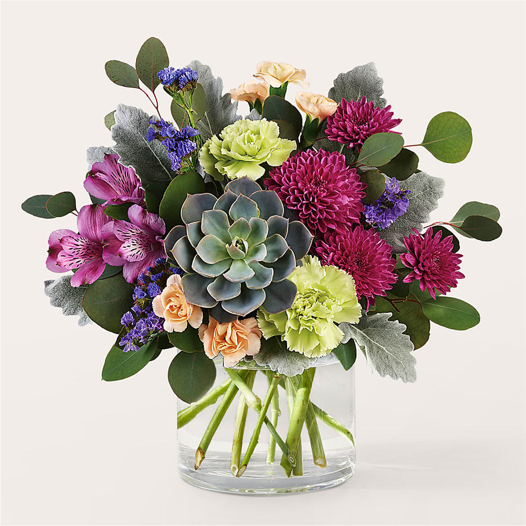 Botanical Dream Bouquet – Discountflowershop.com, Tontitown AR