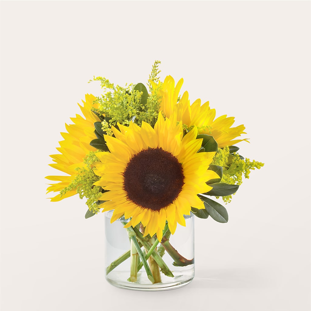 Beaming Sunflower Bouquet – Discountflowershop.com, Tontitown AR