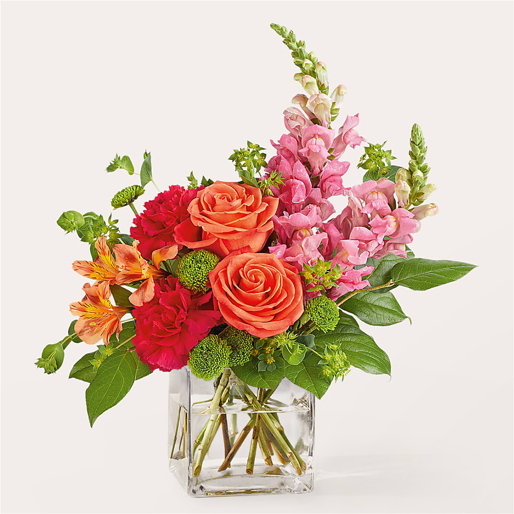 Cosmopolitan Bouquet – Discountflowershop.com, Tontitown AR