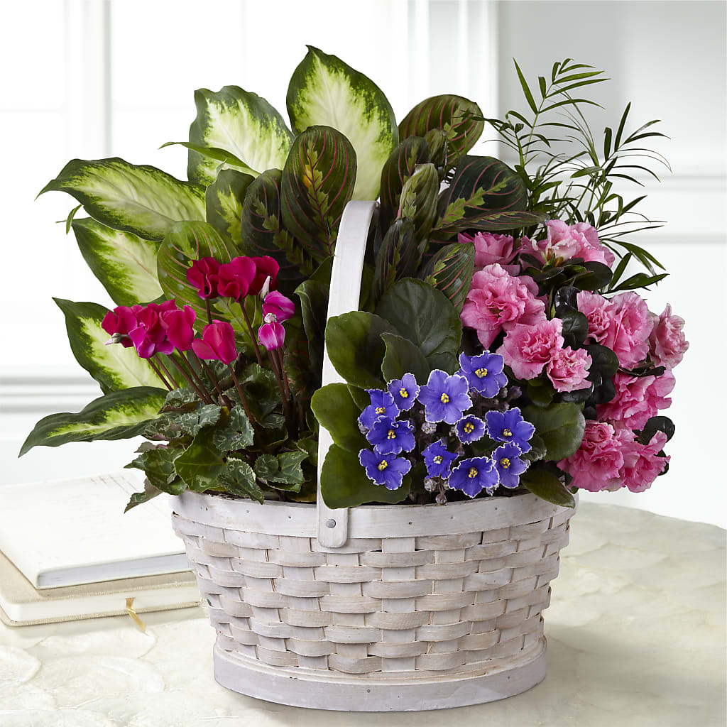 Peaceful Garden Planter – Discountflowershop.com, Tontitown AR