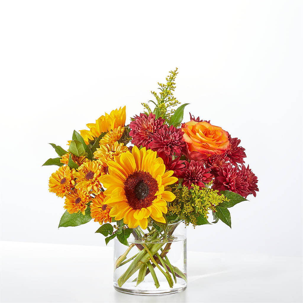Flannel Scarf Bouquet – Discountflowershop.com, Tontitown AR