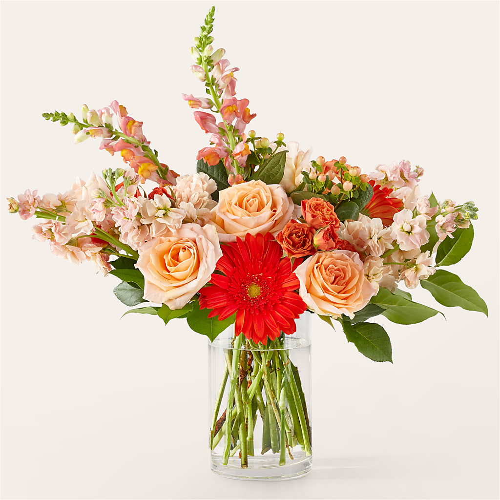 Paloma Please Bouquet – Discountflowershop.com, Tontitown AR