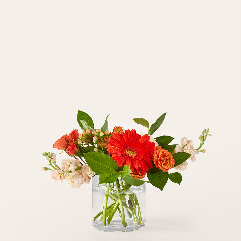Paloma Please Bouquet – Discountflowershop.com, Tontitown AR