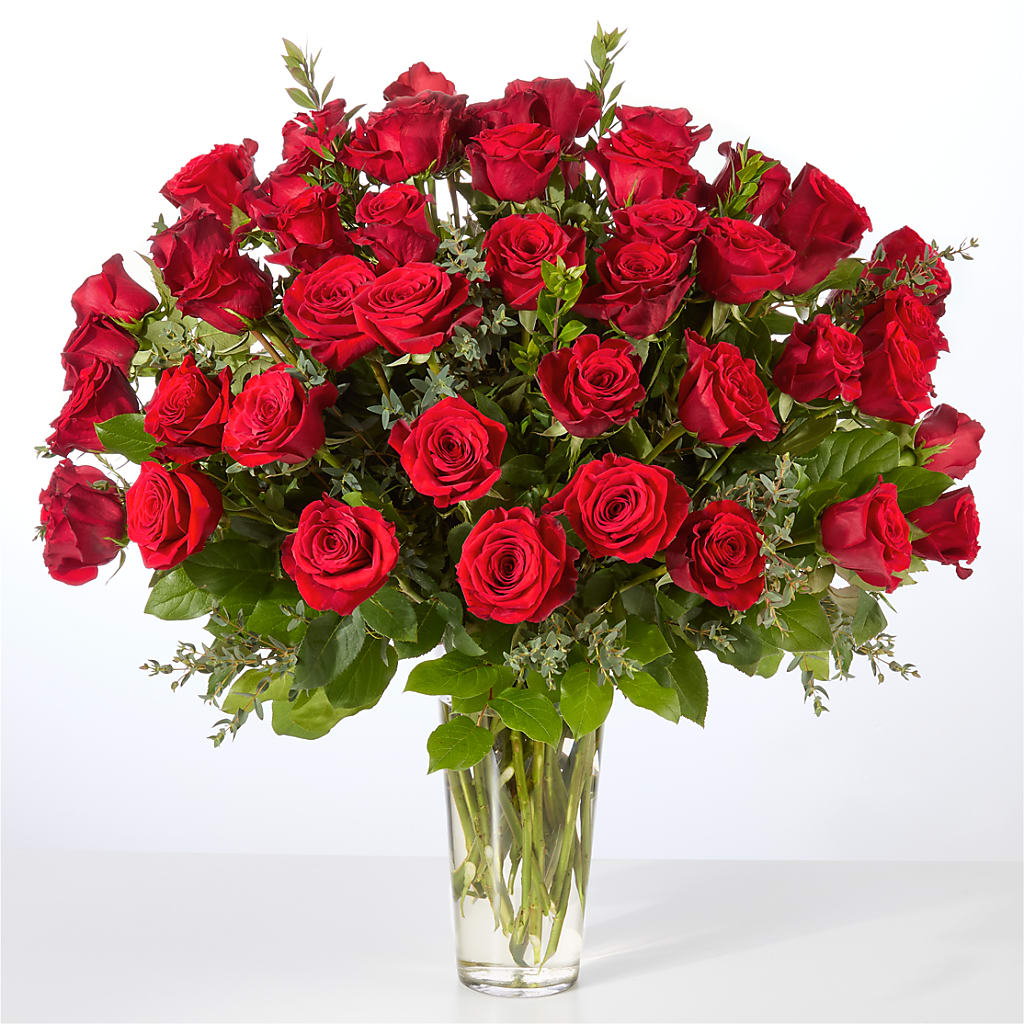 Forever Yours Fifty Stem Red Rose Bouquet – Discountflowershop.com, Tontitown AR