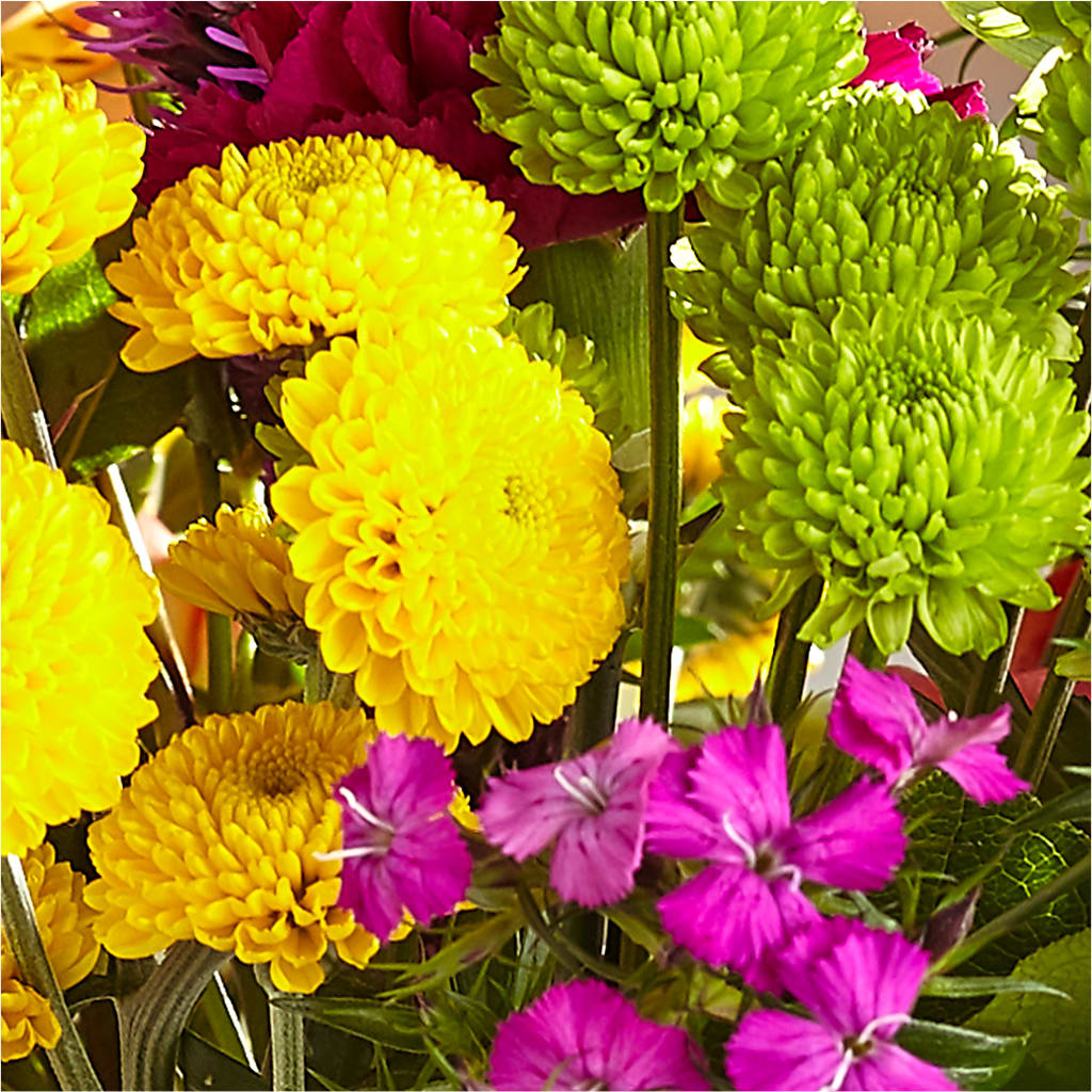 Bold & Bright – A Florist Original –  Discountflowershop.com, Tontitown AR