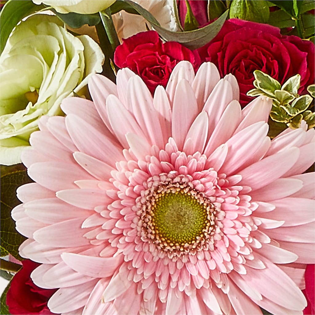 Too Cute Bouquet –  Discountflowershop.com, Tontitown AR