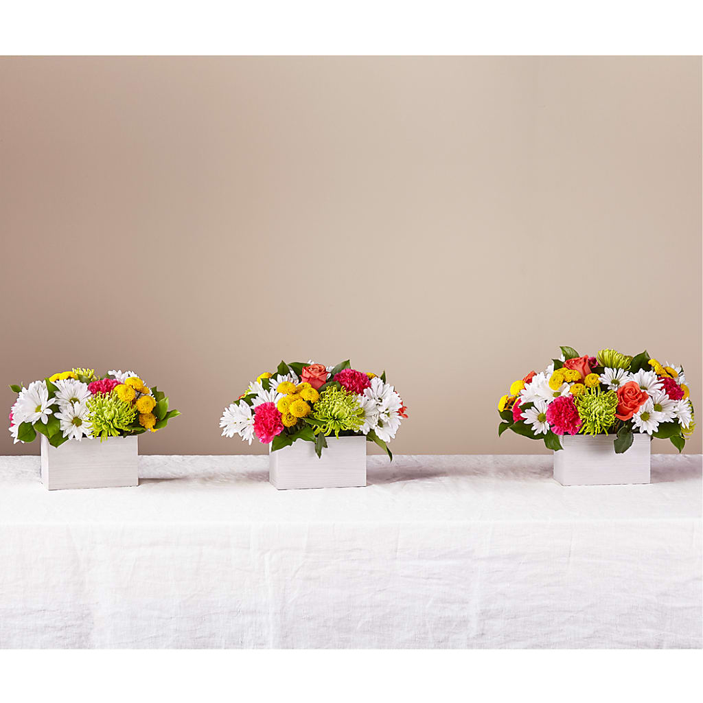 Sorbet Bouquet –  Discountflowershop.com, Tontitown AR