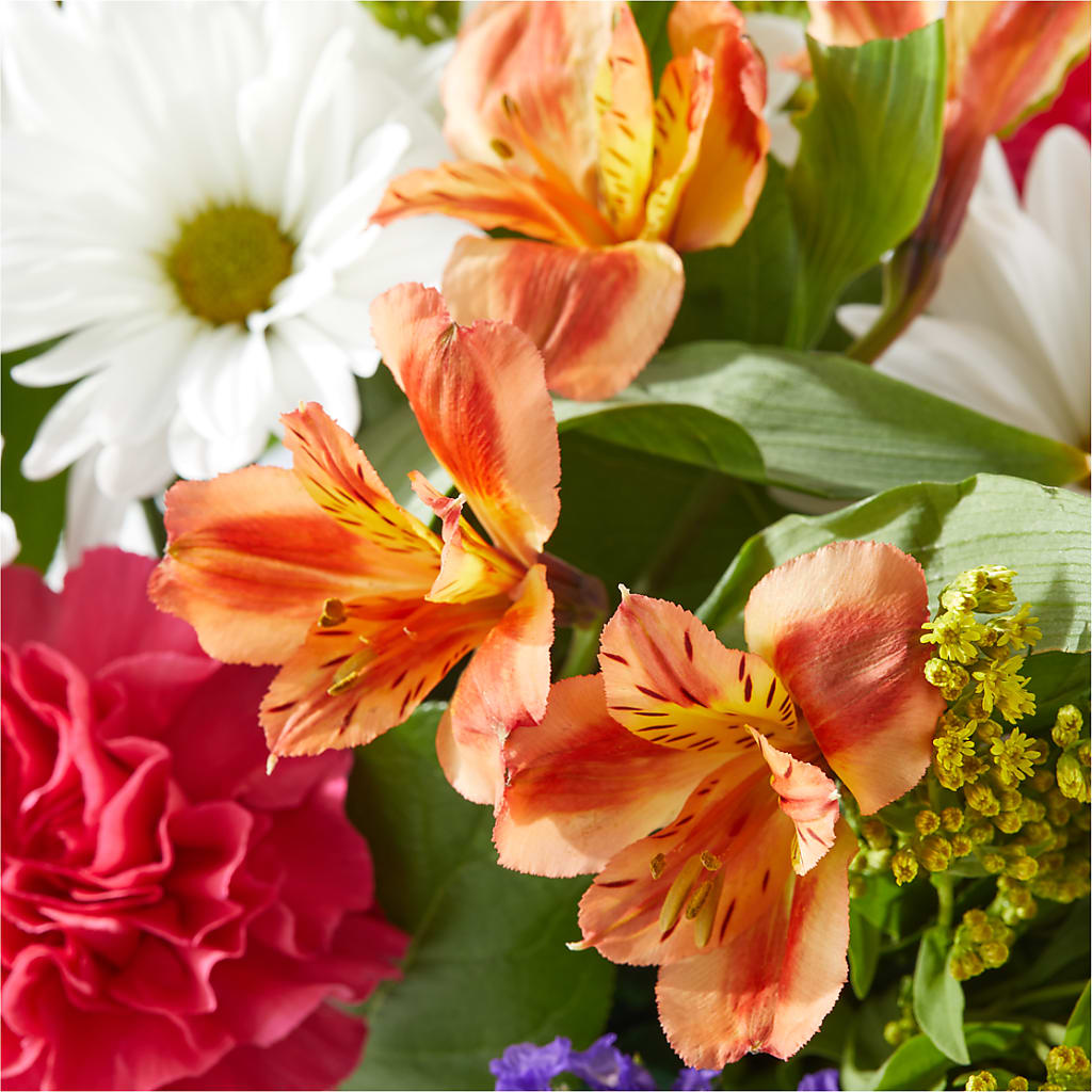 Oopsie Daisy Box Bouquet –  Discountflowershop.com, Tontitown AR