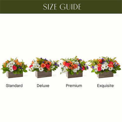 Oopsie Daisy Box Bouquet –  Discountflowershop.com, Tontitown AR