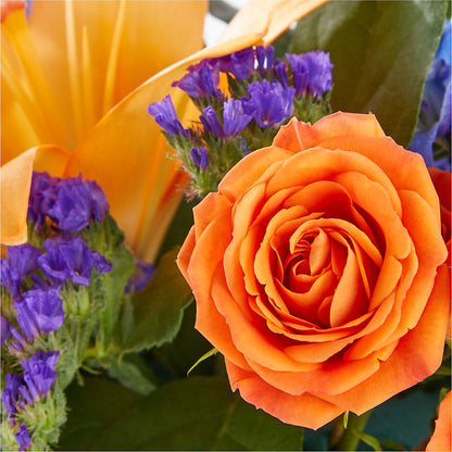 Radiant Citrus Box Bouquet –  Discountflowershop.com, Tontitown AR