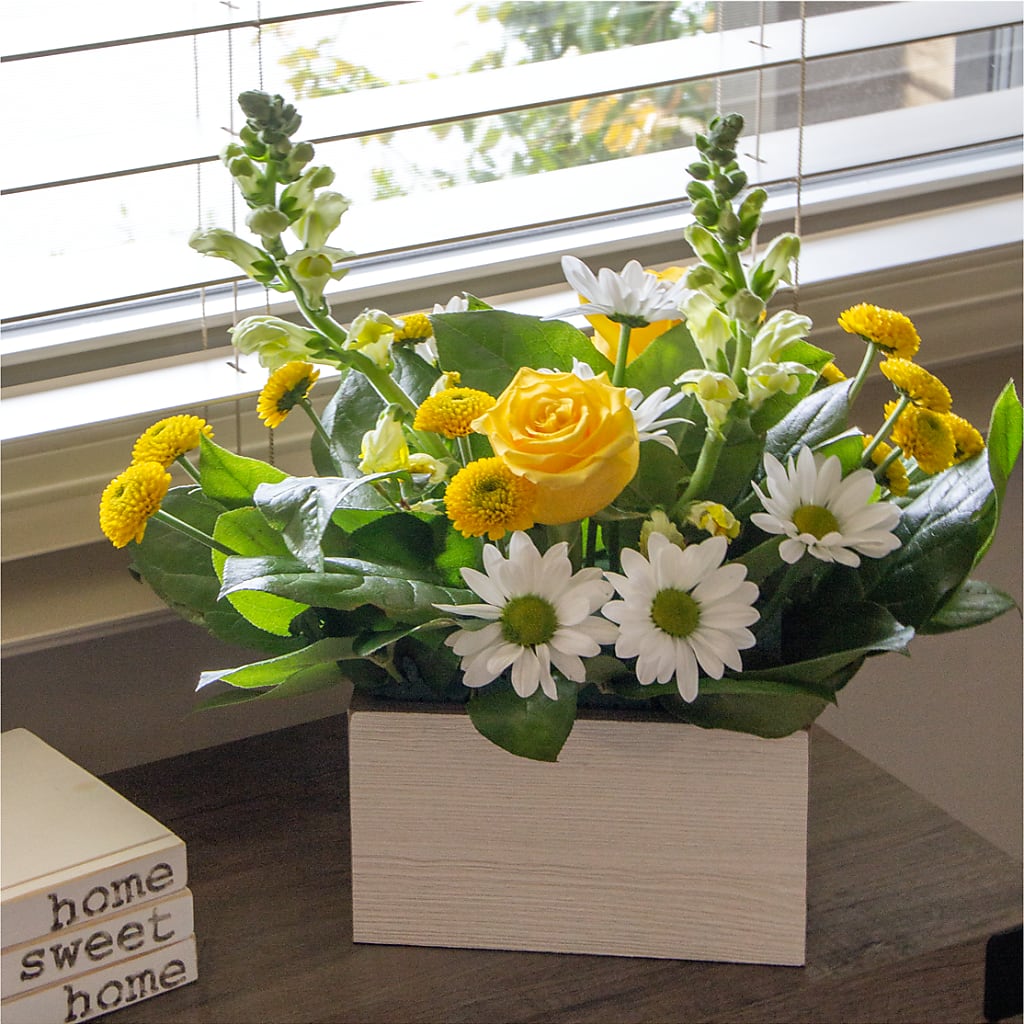 Sun Salutation Box Bouquet –  Discountflowershop.com, Tontitown AR