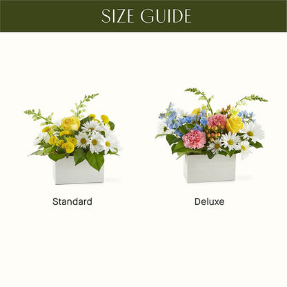 Sun Salutation Box Bouquet –  Discountflowershop.com, Tontitown AR