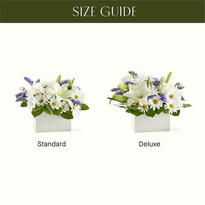 Beyond Blue Box Bouquet –  Discountflowershop.com, Tontitown AR