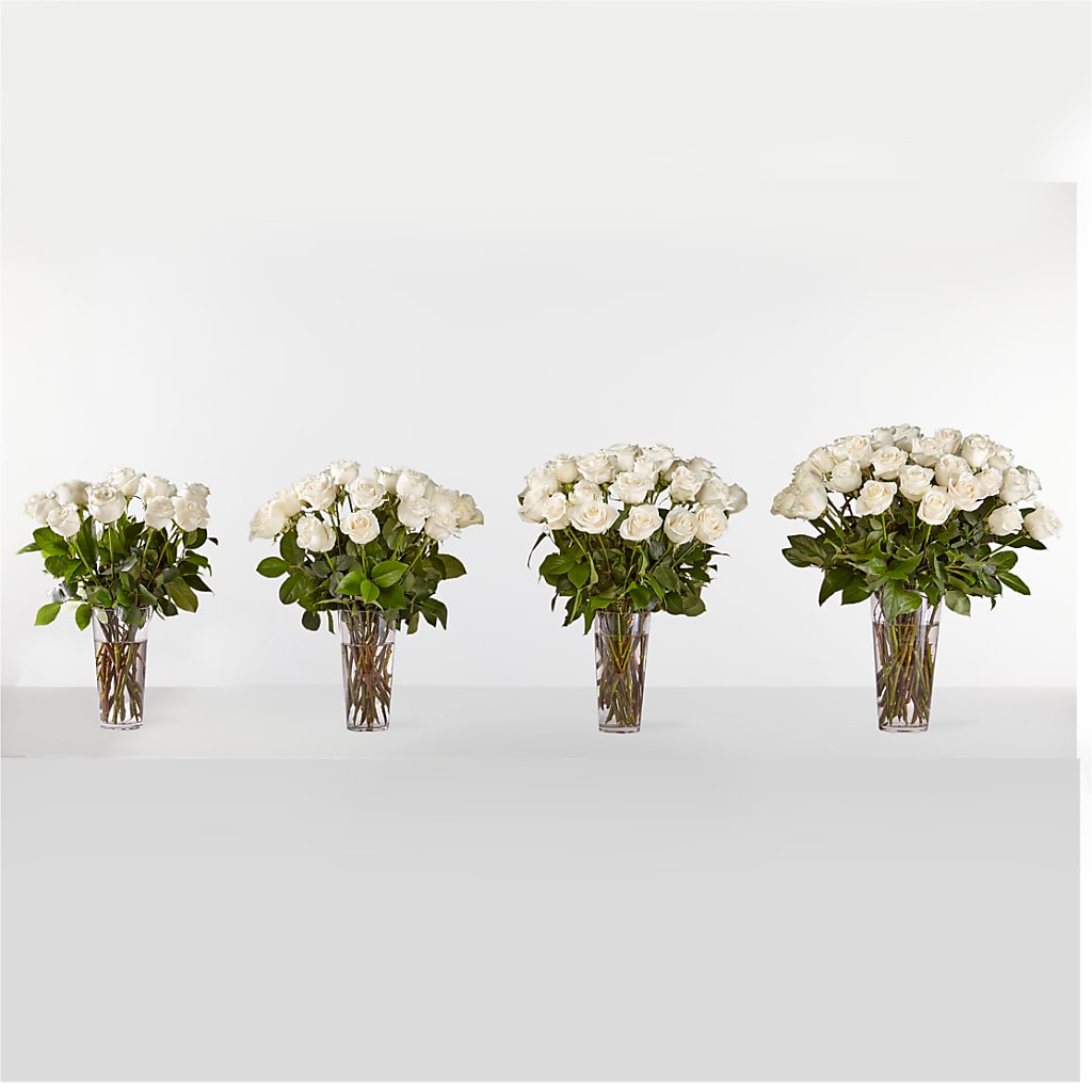 Long Stem White Rose Bouquet –  Discountflowershop.com, Tontitown AR