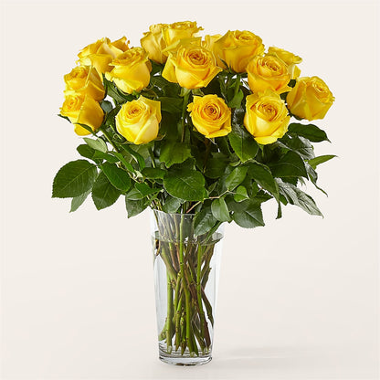 Long Stem Yellow Rose Bouquet –  Discountflowershop.com, Tontitown AR