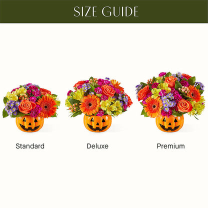 Tricks & Treats Pumpkin –  Discountflowershop.com, Tontitown AR