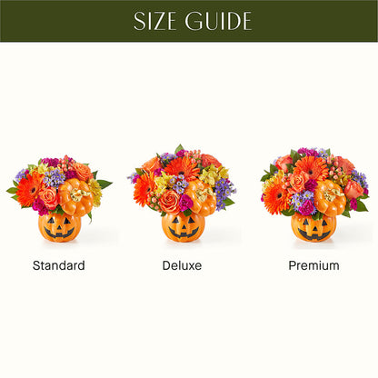 Tricks & Treats Pumpkin –  Discountflowershop.com, Tontitown AR