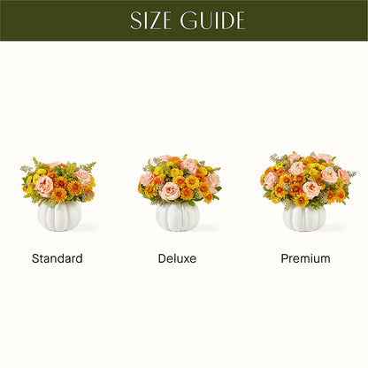Peachy Pumpkin –  Discountflowershop.com, Tontitown AR