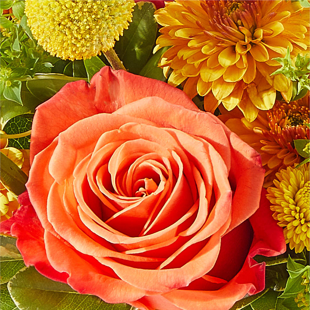 Gourdgeous Pumpkin –  Discountflowershop.com, Tontitown AR