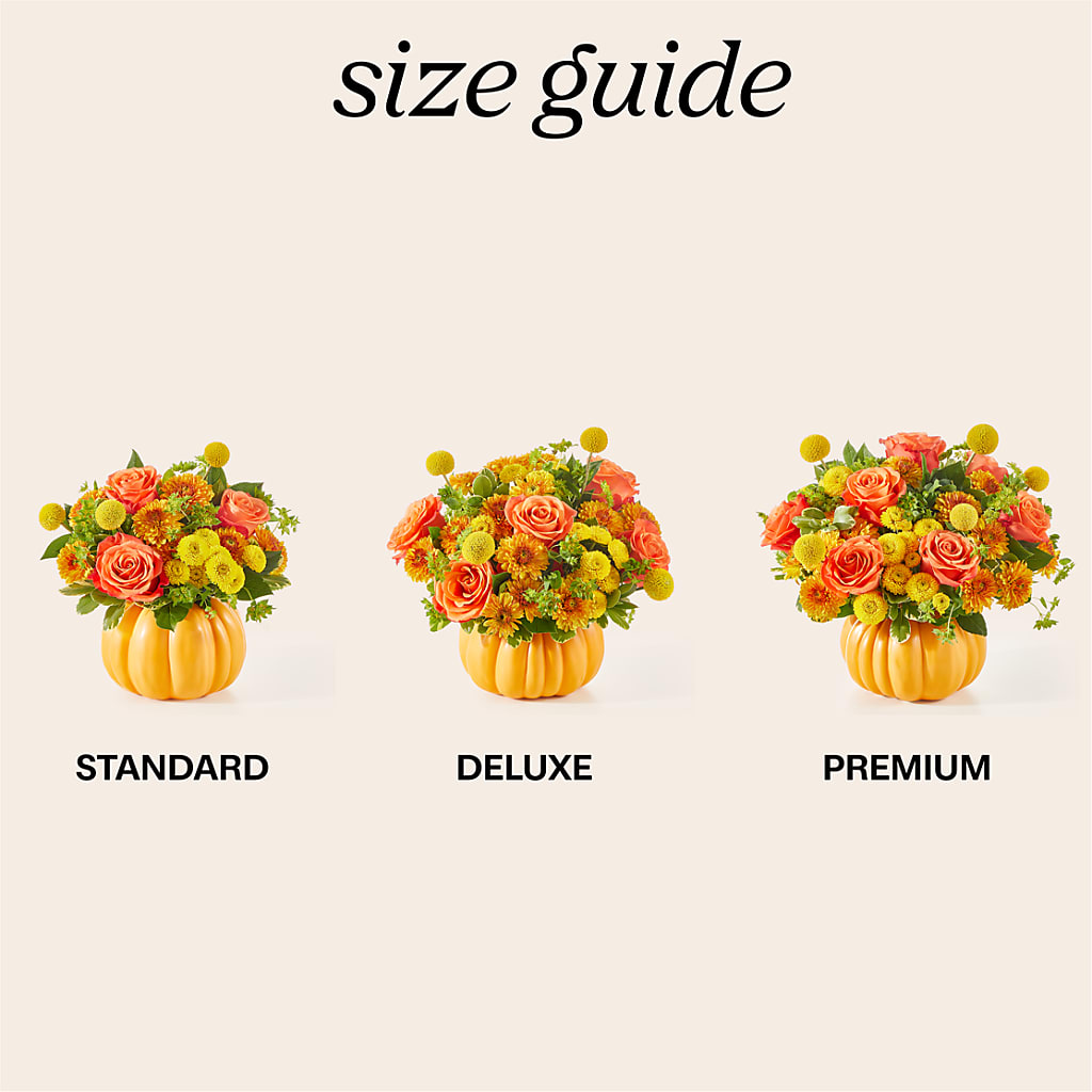 Gourdgeous Pumpkin –  Discountflowershop.com, Tontitown AR