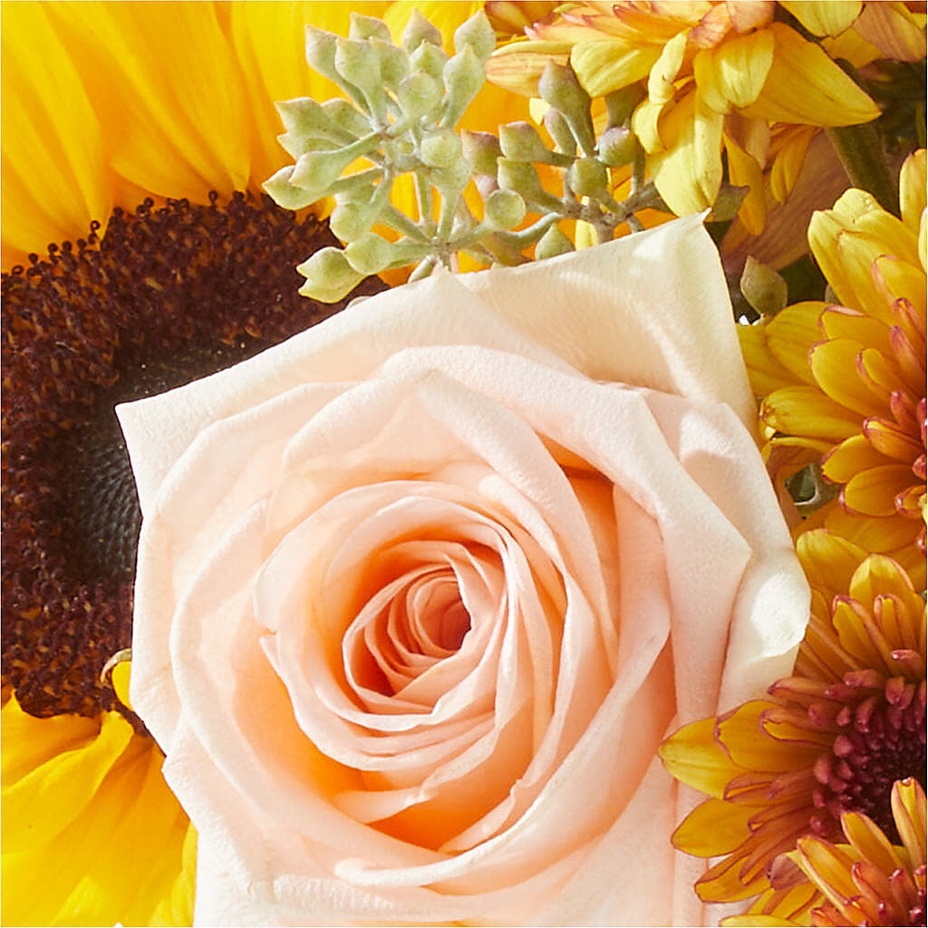 Pumpkin to Talk About Bouquet –  Discountflowershop.com, Tontitown AR