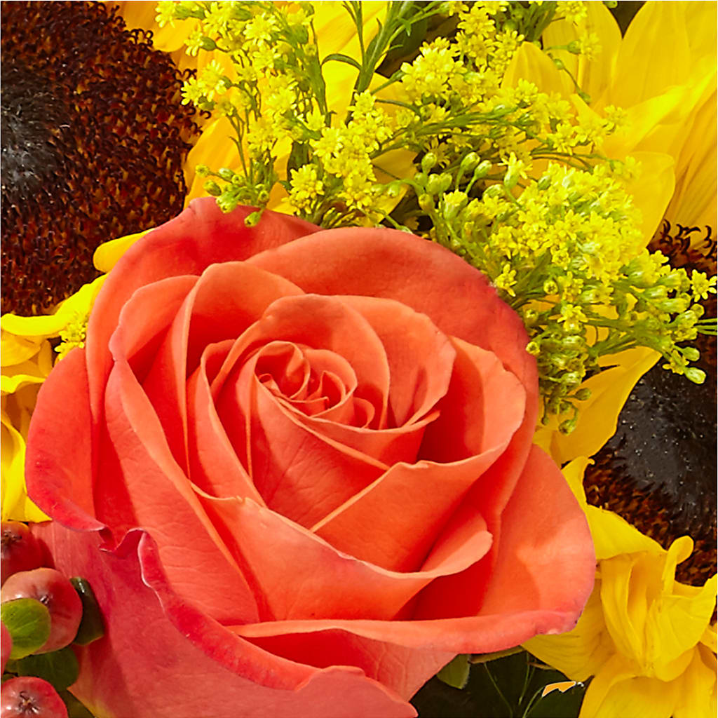 Pick of the Patch Pumpkin Bouquet –  Discountflowershop.com, Tontitown AR