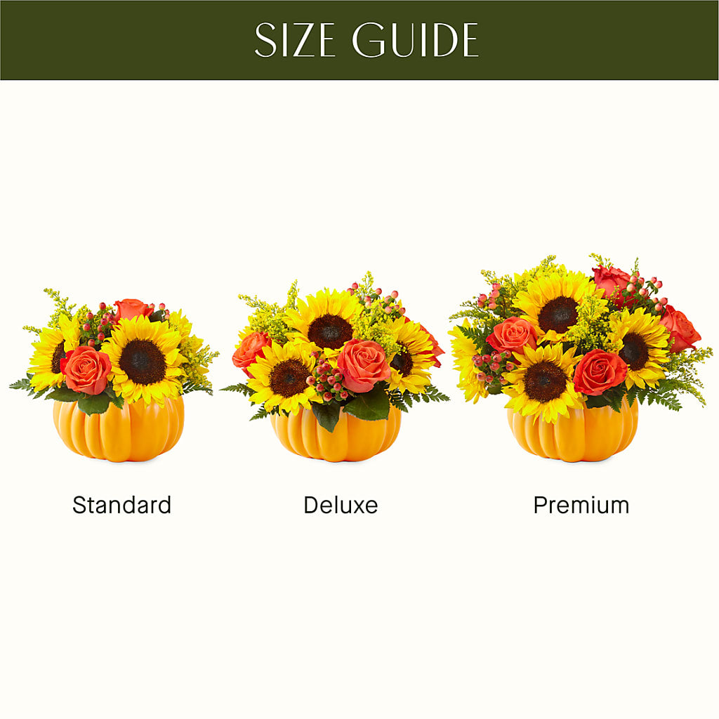 Pick of the Patch Pumpkin Bouquet –  Discountflowershop.com, Tontitown AR