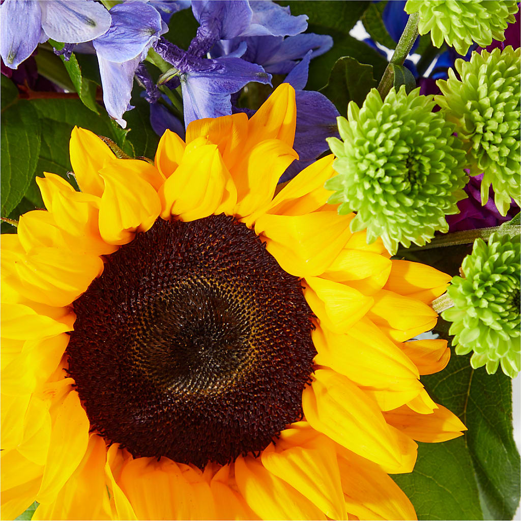 Catching Rays Bouquet –  Discountflowershop.com, Tontitown AR