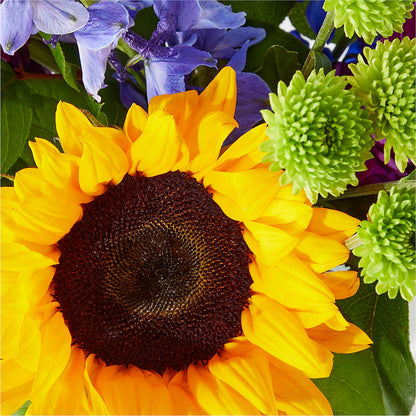 Catching Rays Bouquet –  Discountflowershop.com, Tontitown AR