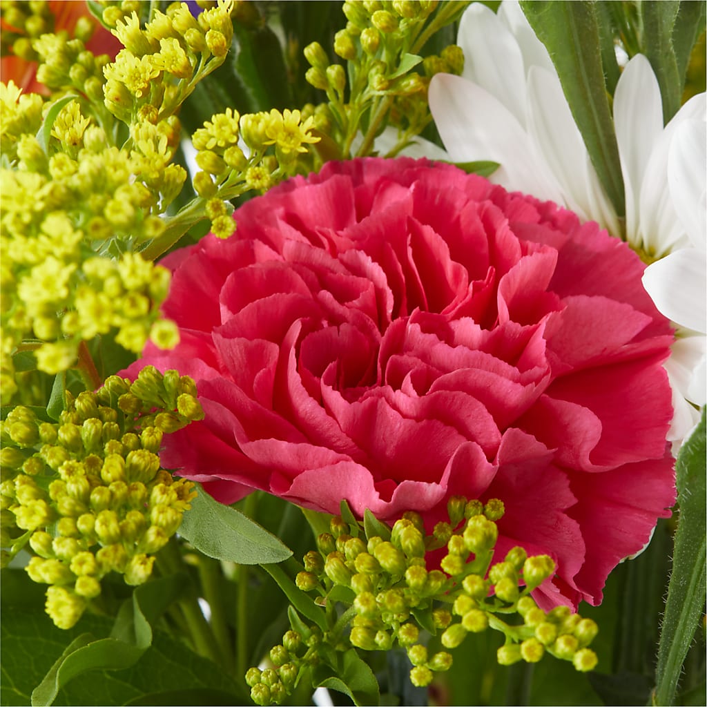 Oopsie Daisy Bouquet –  Discountflowershop.com, Tontitown AR