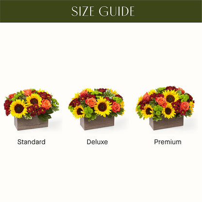 Happy Harvest Garden –  Discountflowershop.com, Tontitown AR