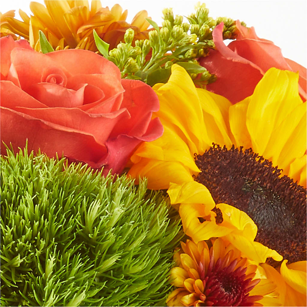 Farmer’s Market Stroll Bouquet –  Discountflowershop.com, Tontitown AR