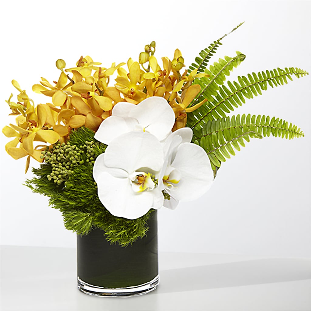 The Tropics –  Discountflowershop.com, Tontitown AR