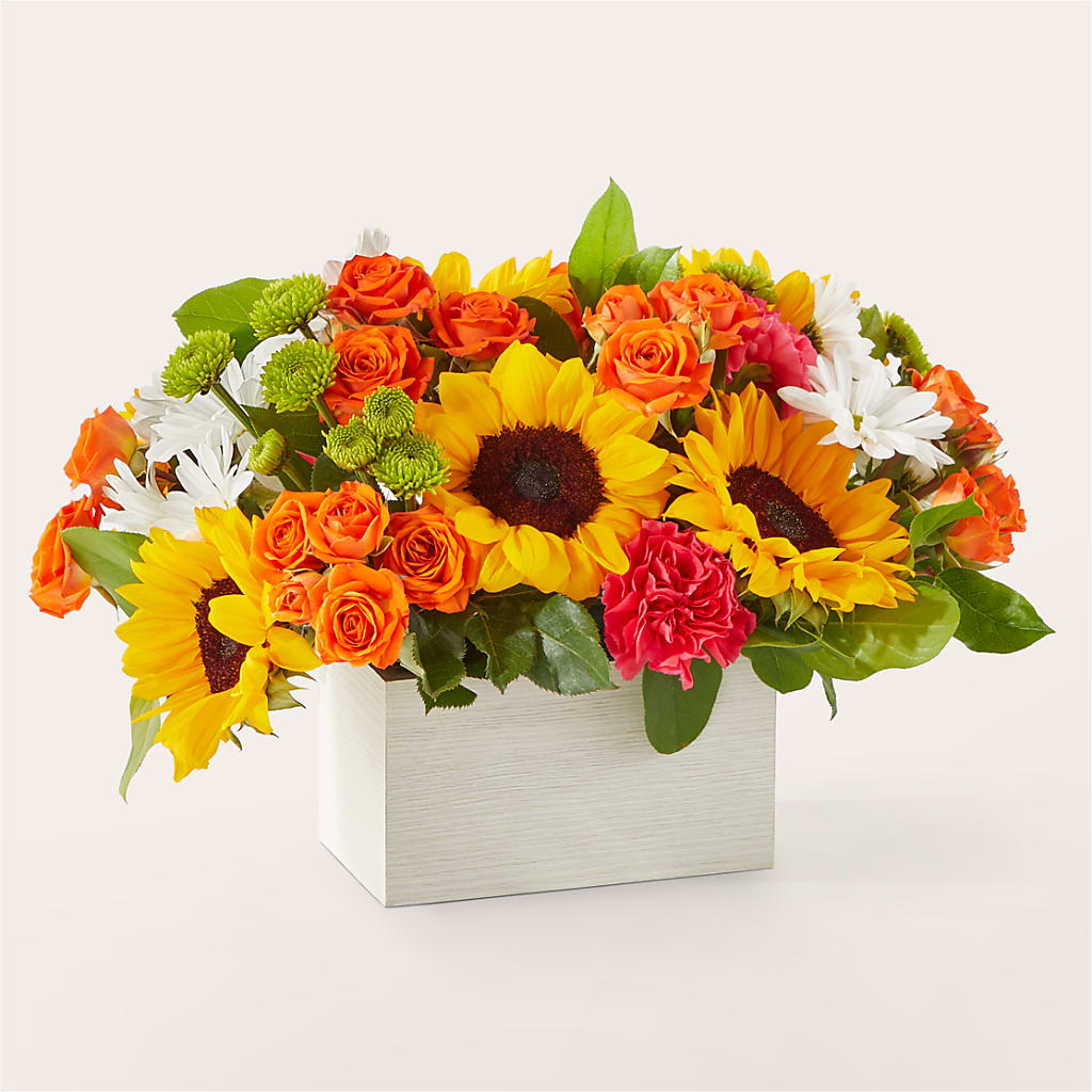 Sun-drenched Blooms Box Bouquet –  Discountflowershop.com, Tontitown AR