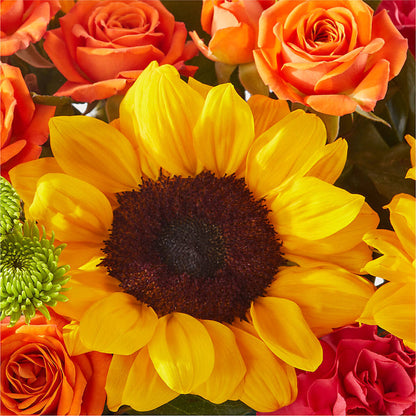 Sun-drenched Blooms Box Bouquet –  Discountflowershop.com, Tontitown AR