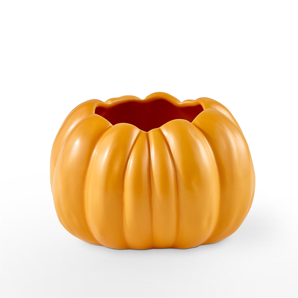Pick of the Patch Pumpkin Bouquet –  Discountflowershop.com, Tontitown AR