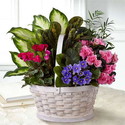Peaceful Garden Planter –  Discountflowershop.com, Tontitown AR