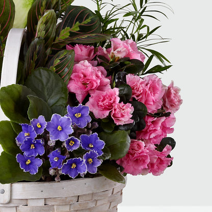 Peaceful Garden Planter –  Discountflowershop.com, Tontitown AR