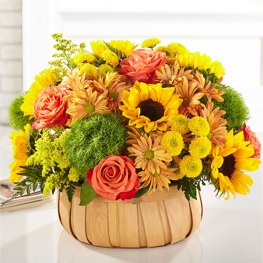 Harvest Sunflower Basket –  Discountflowershop.com, Tontitown AR