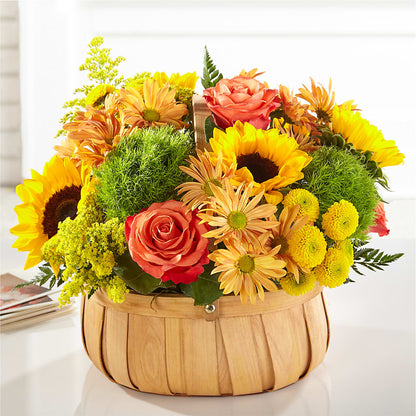 Harvest Sunflower Basket –  Discountflowershop.com, Tontitown AR