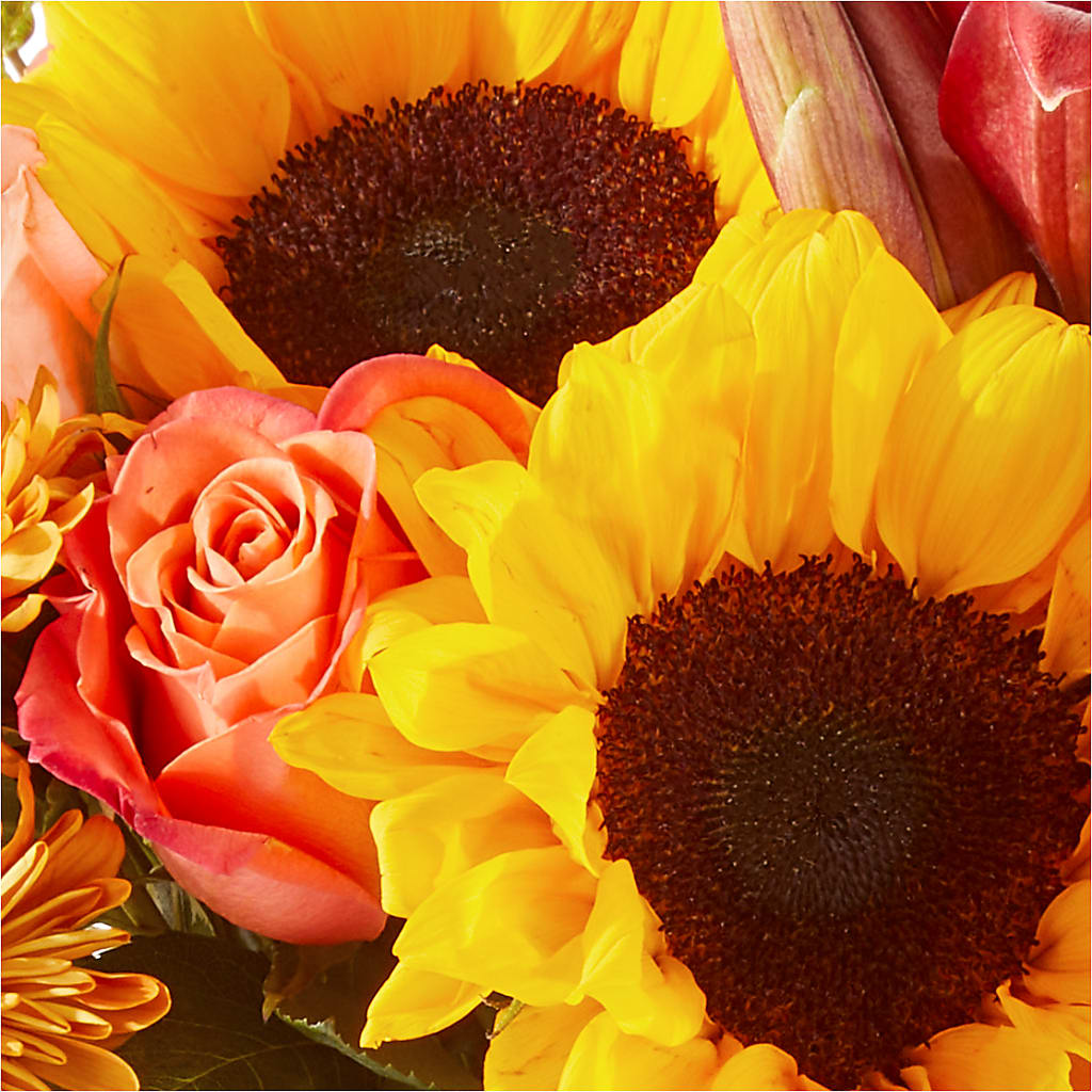 Acorn Lane Bouquet –  Discountflowershop.com, Tontitown AR