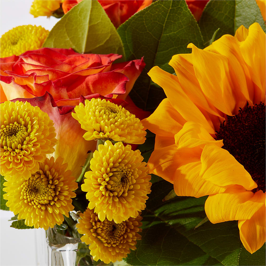 Picnic in the Park Bouquet –  Discountflowershop.com, Tontitown AR