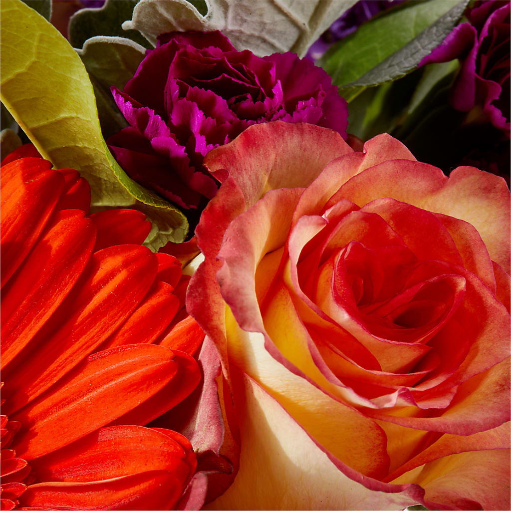 Sangria Bouquet –  Discountflowershop.com, Tontitown AR