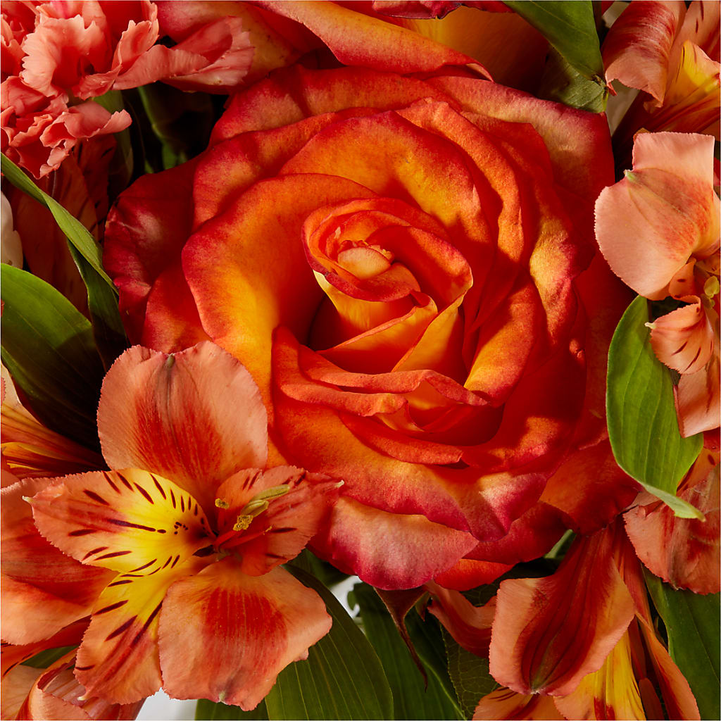 Apricot Glow Bouquet –  Discountflowershop.com, Tontitown AR